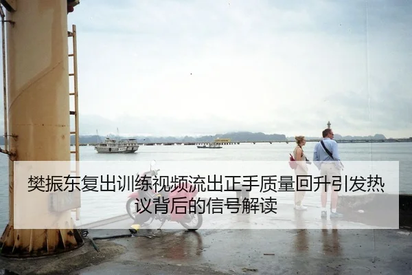 樊振东复出训练视频流出正手质量回升引发热议背后的信号解读
