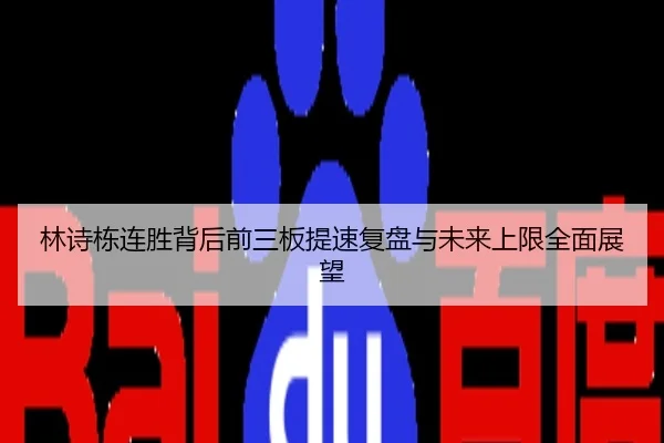 林诗栋连胜背后前三板提速复盘与未来上限全面展望